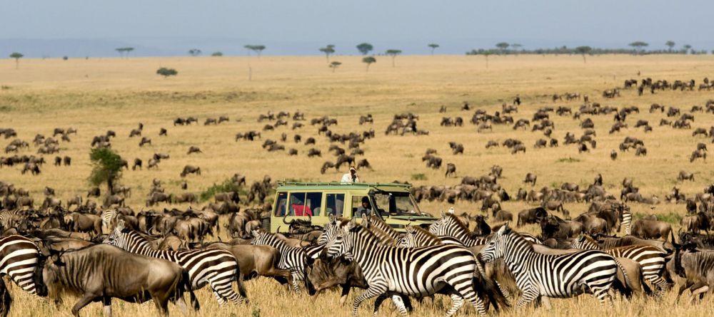 Mara Under Canvas Tented Camp - Image 4