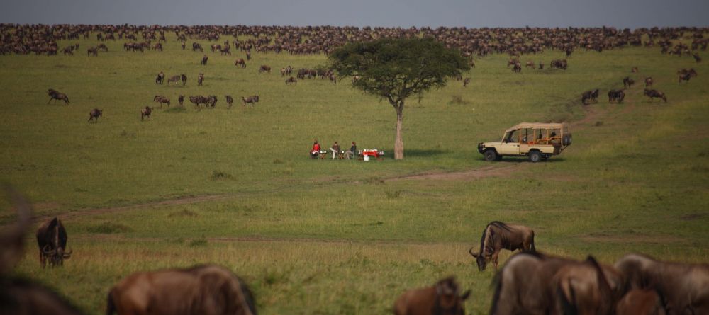A bush breakfast among the masses of wildebeest during the Great Migration at Naibor Camp, Masai Mara National Reserve, Kenya - Image 8