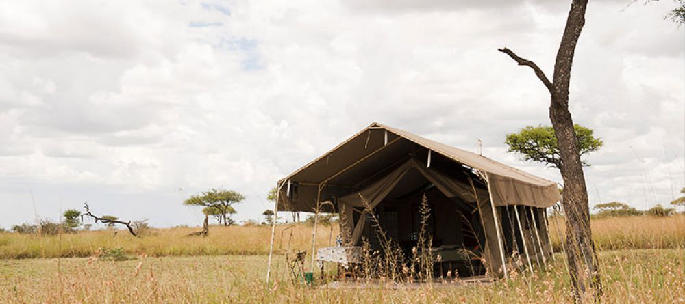 Mara Kati Kati - Image 3