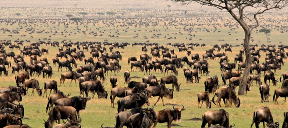 Mara Kati Kati - Image 5