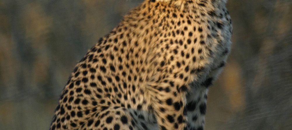 Mkuze Falls Lodge Cheetah Image #2 - Image 1