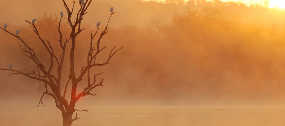 Mkuze Falls Lodge Scenic Photo #1 - Image 2