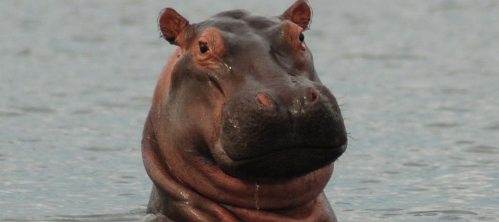 Murchison Falls Lodge - Image 1