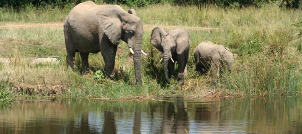 Murchison Falls Lodge - Image 4