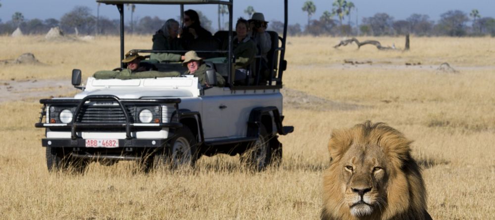 Game drive at Davisons Camp, Huangwe National Park, Zimbabwe (Mike Myers) - Image 1