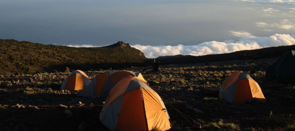 Mt. Kilimanjaro Western Approach - Image 13