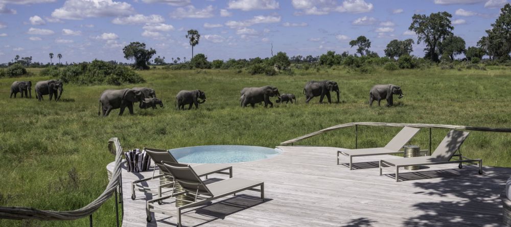 Pool at Little Mombo, Moremi Camp Reserve, Botswana (Dana Allen) - Image 12