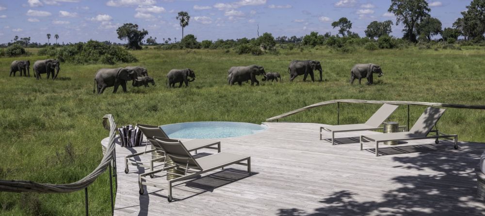Pool at Little Mombo, Moremi Camp Reserve, Botswana (Mike Myers) - Image 11
