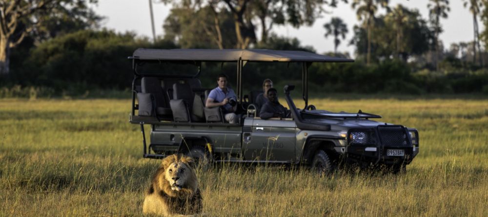 Game drive with lions - Image 5