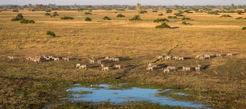 Mombo Camp, Moremi Game Reserve, Botswana - Image 2
