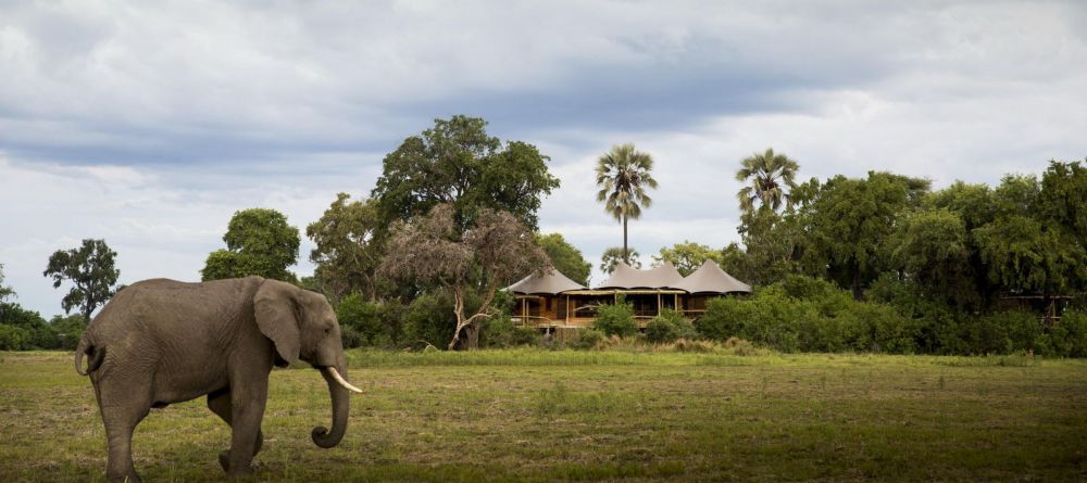 Mombo Camp, Moremi Game Reserve, Botswana - Image 17