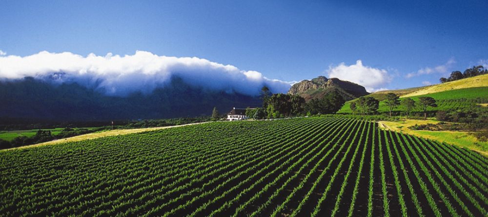 Mont Rochelle Hotel, Franschhoek, South Africa - Image 7