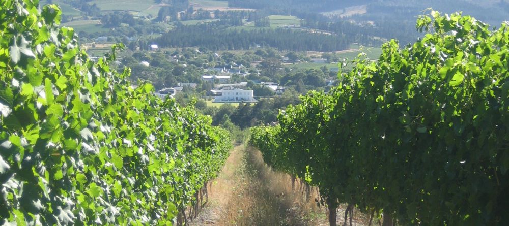 Mont Rochelle Hotel, Franschhoek, South Africa - Image 8