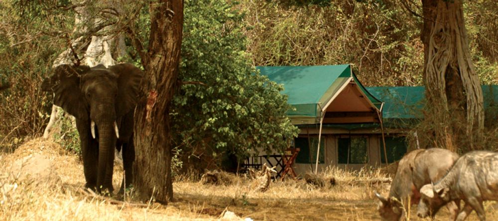 Mdonya Old River Camp - Image 2