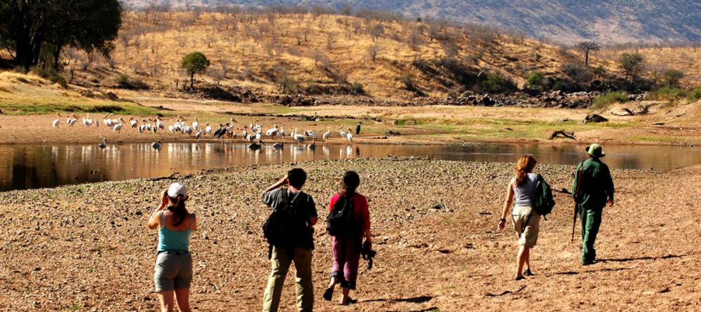 Mdonya Old River Camp - Image 4