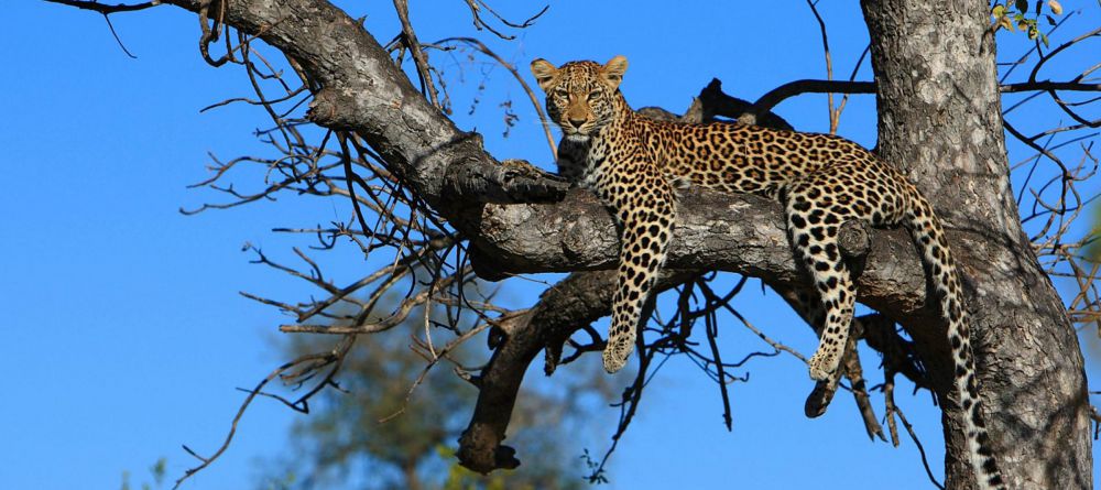 Geiger Camp - Image 3