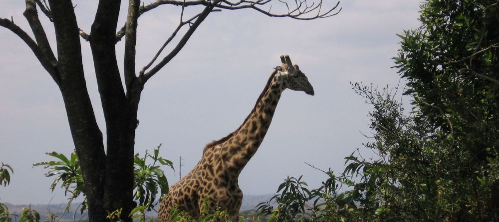 Mount Meru - Image 4
