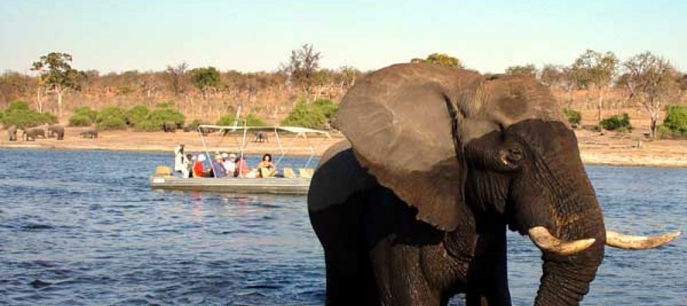 Mowana Safari Lodge - Boat Cruise - Image 3