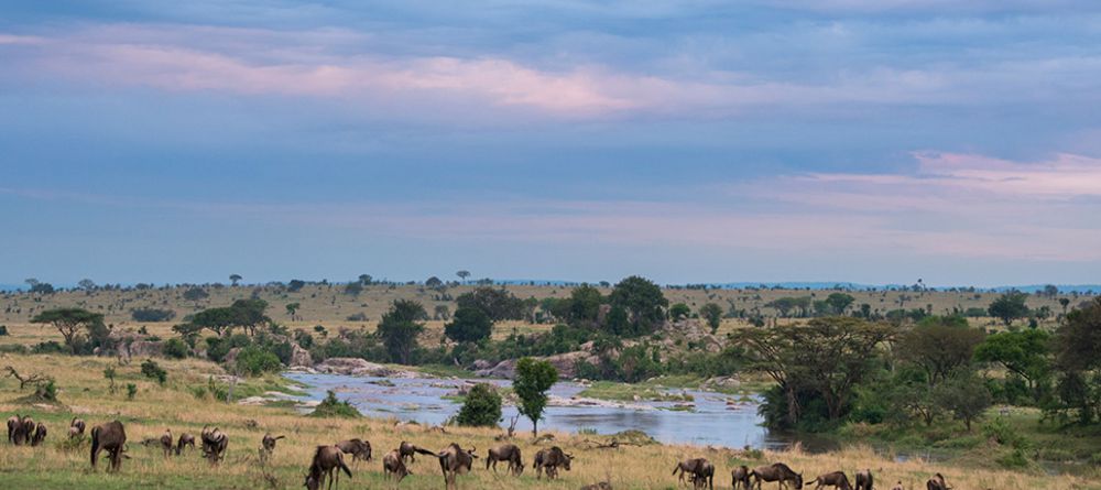 Mara River Post Camp - Image 3
