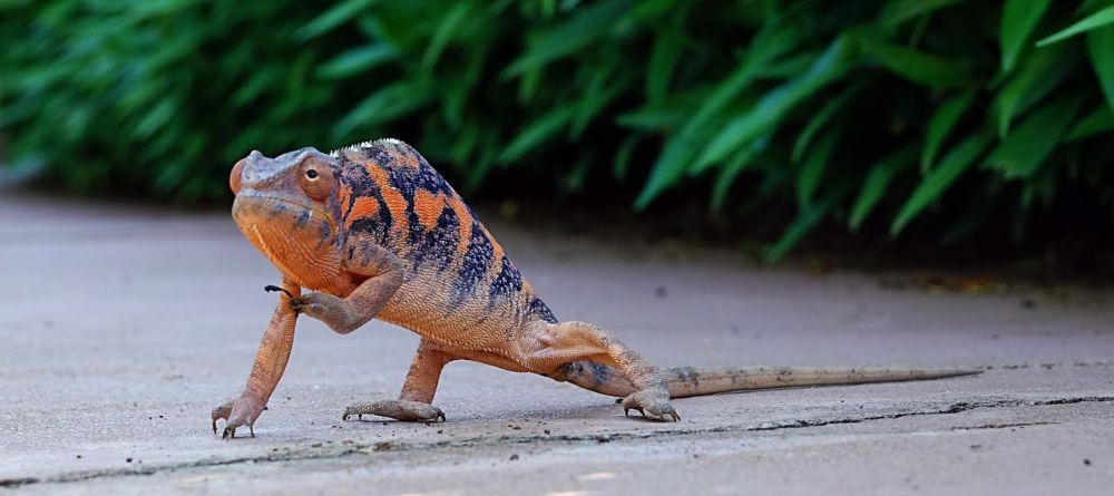 Manga Soa Lodge - Image 4