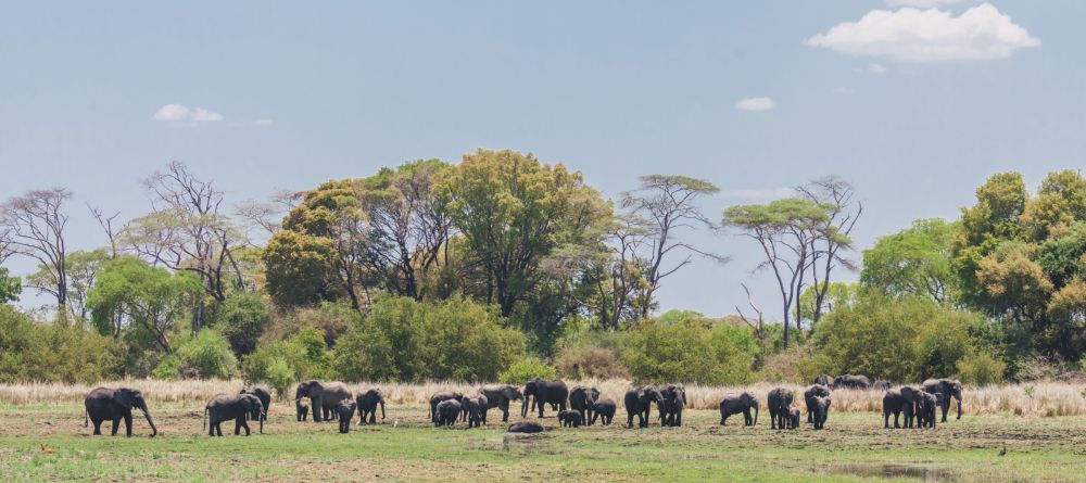 Musekese Camp - Image 4