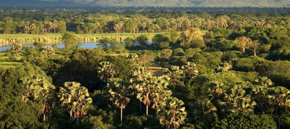 Mvuu Camp, Liwonde National Park, Malawi Â© Dana Allen - Image 7