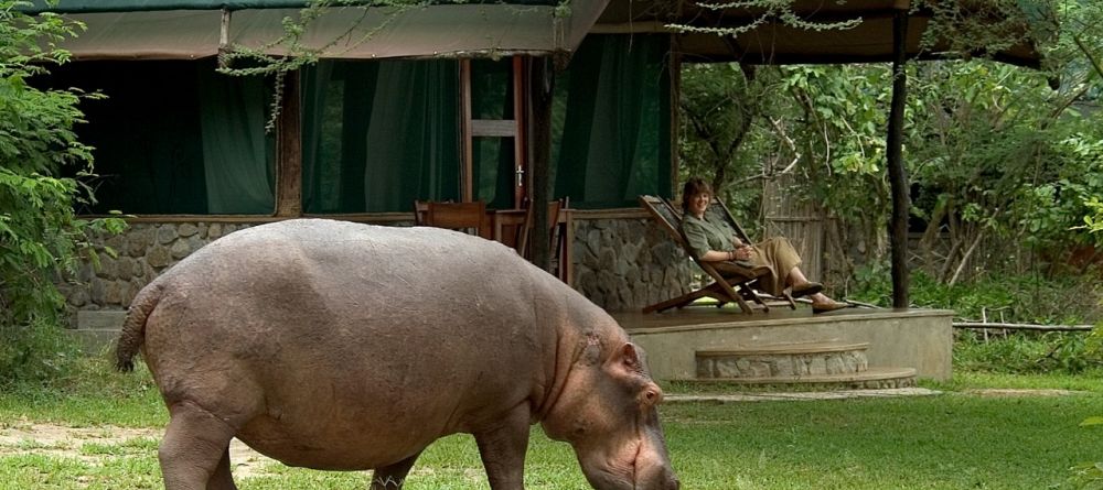 Mvuu Camp, Liwonde National Park, Malawi Â© Dana Allen - Image 8