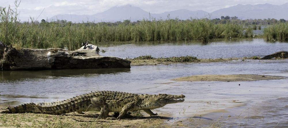 Mvuu Wilderness Lodge, Liwonde National Park, Malawi Â© Dana Allen - Image 3