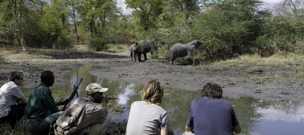 Mvuu Wilderness Lodge, Liwonde National Park, Malawi Â© Dana Allen - Image 5