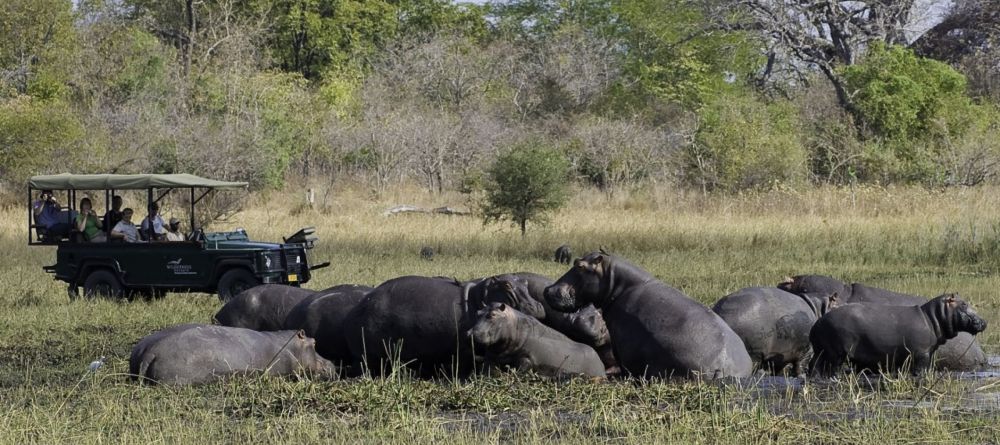 Mvuu Wilderness Lodge, Liwonde National Park, Malawi Â© Dana Allen - Image 6