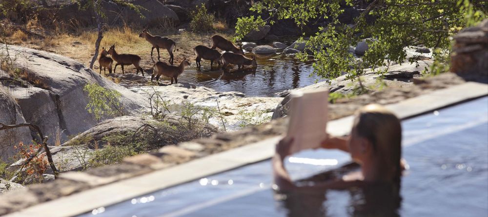 Mwiba Lodge, Serengeti National Park, Tanzania - Image 5