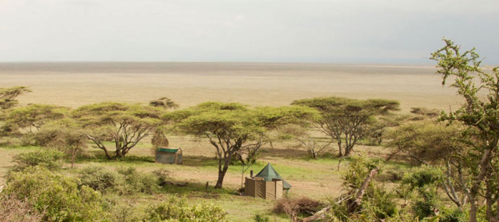 Nabi Green Camp - Image 2