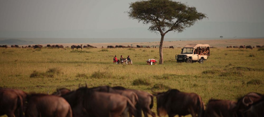 Bush Breakfast on the plains at Naibor Camp, Masai Mara National Reserve, Kenya - Image 17