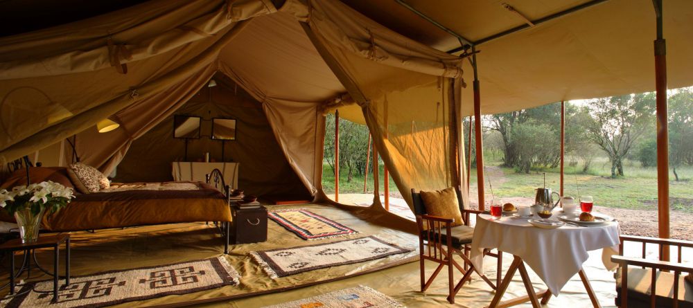 Spacious Tents - Image 5
