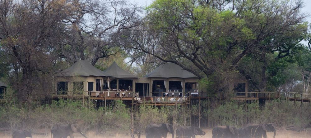 Exterior with Elephants - Image 6