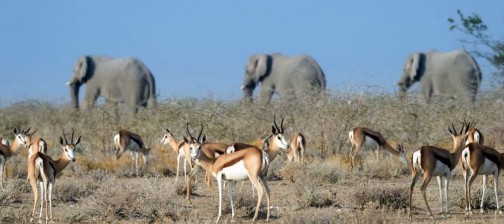 Safarihoek Lodge - view of plains - Image 6