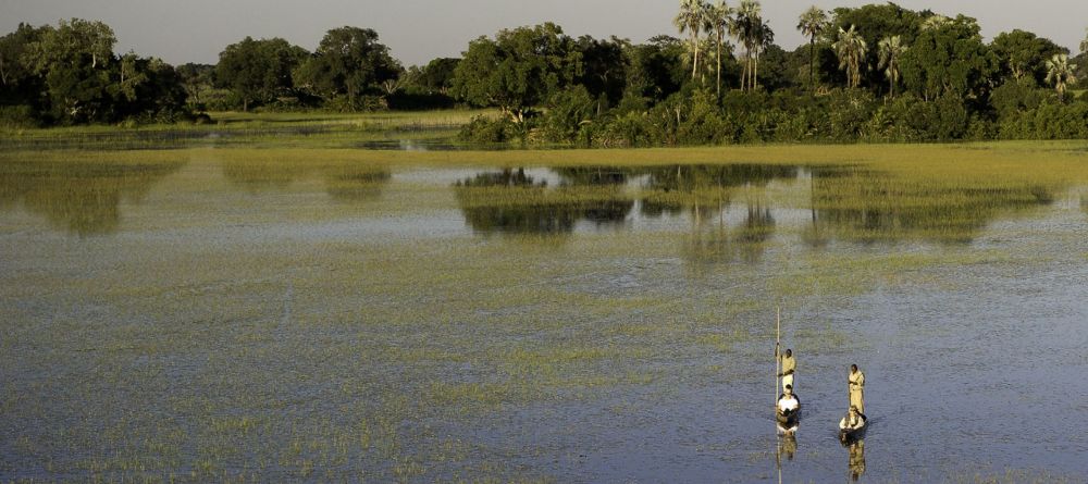 Boating on the flooded plains at Tubu Tree Camp, Okavango Delta, Botswana (Dana Allen) - Image 5