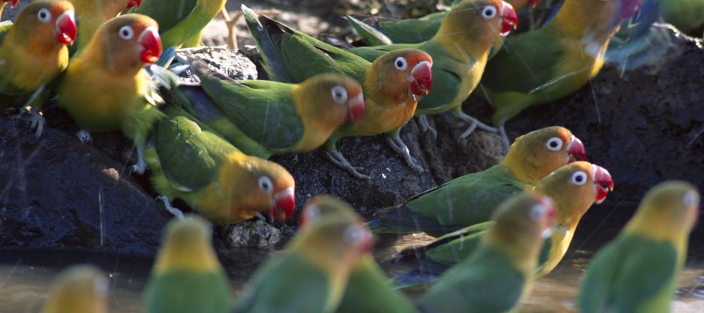 Ndutu Safari Lodge, Serengeti National Park, Tanzania - Image 3