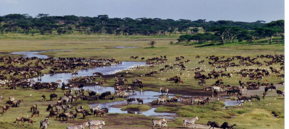 Ndutu Safari Lodge, Serengeti National Park, Tanzania - Image 7