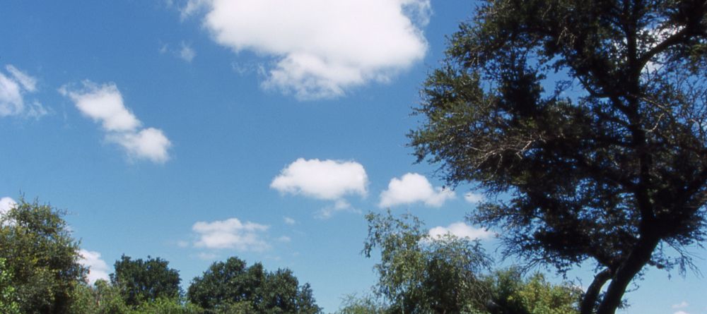 Ngala Tented Camp, Kruger National Park, South Africa Â© AndBeyond - Image 10