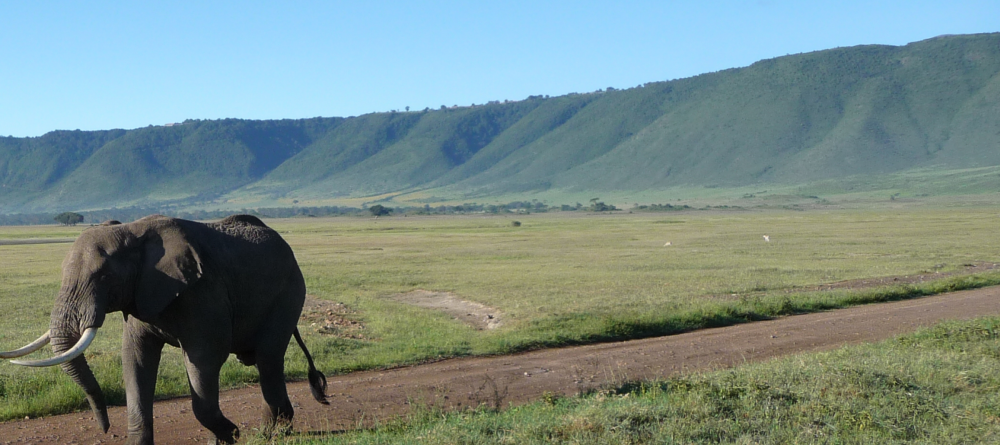 Thomson Nyumba Ngorongoro Crater - Image 1