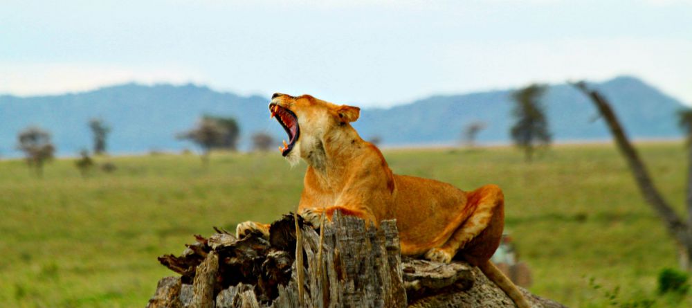 Thomson Nyumba Ngorongoro Crater - Image 4