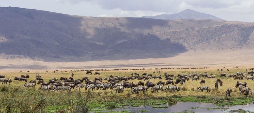 Entamanu Ngorongoro, Ngorongoro Crater, Tanzania - Image 10
