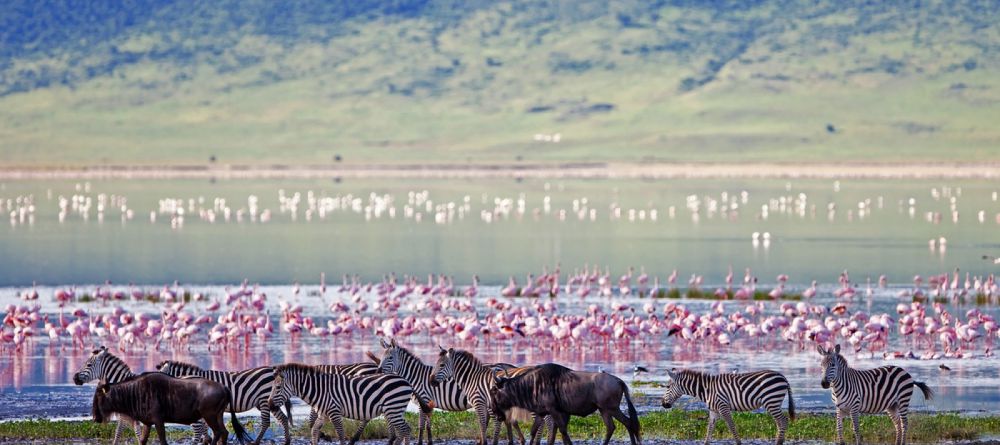 Crater views at Exploreans Ngorongoro - Image 4