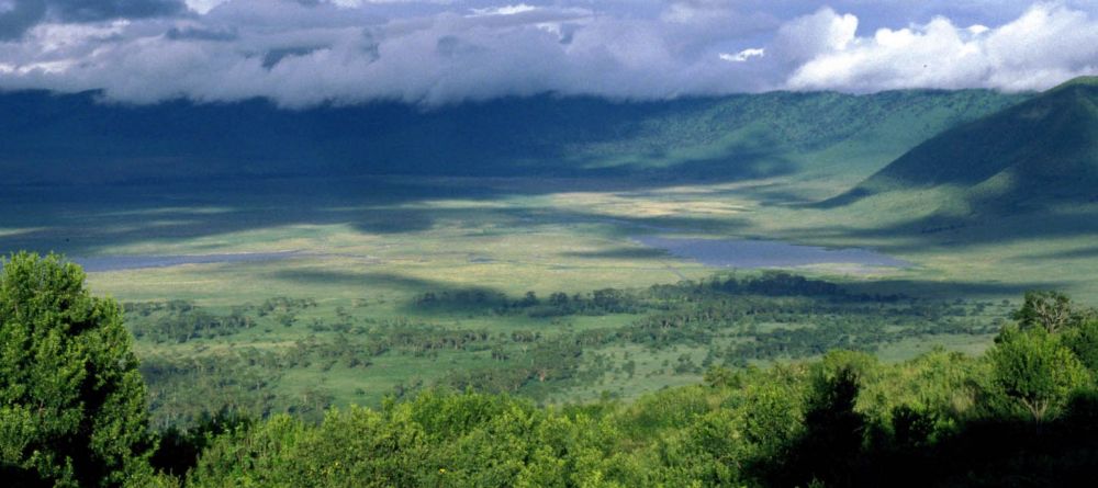 Ngorongoro Crater - Image 3