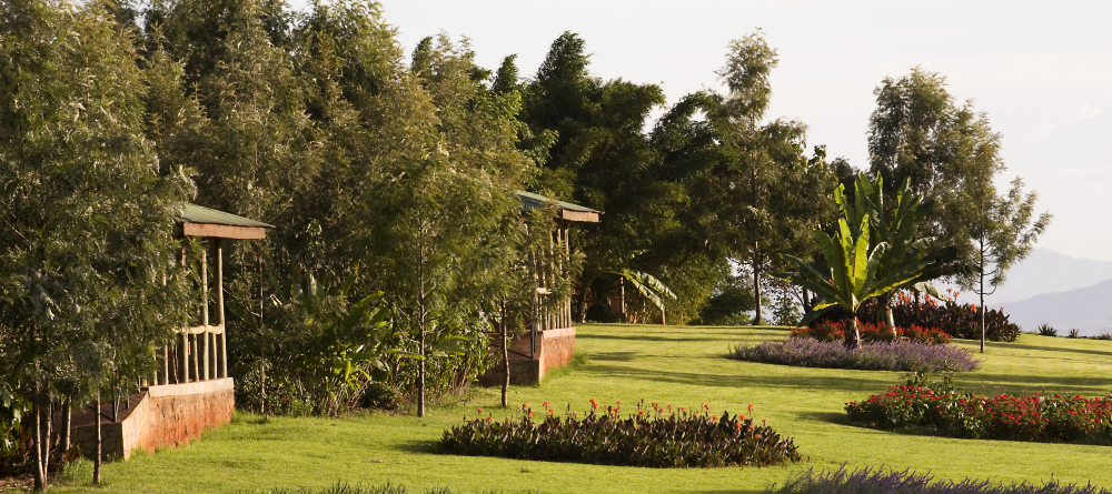 The view of the gardens at Ngorongoro Farm House, Karatu, Tanzania - Image 7