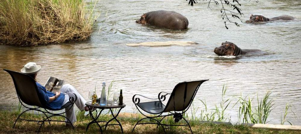 Hippos in the Sabie River - Image 8
