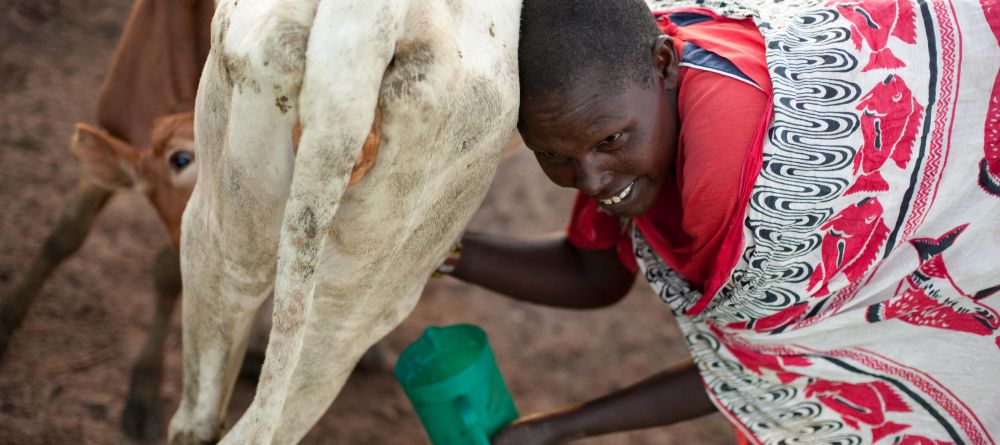 Get a taste of Masai village life at Mara House, Masai Mara National Reserve, Kenya - Image 16