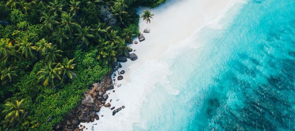 North Island photo by North Island - Image 15