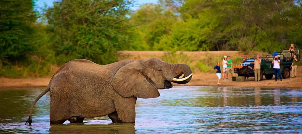 nThambo Tree Camp - Image 1